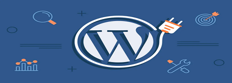 ارائه افزونه های وردپرسی